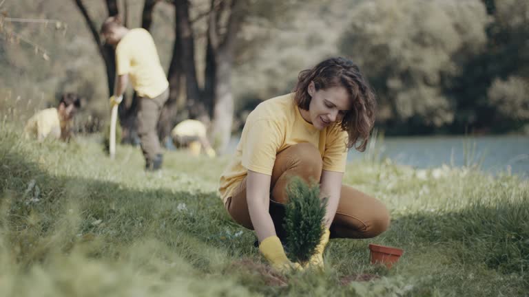 Lawn Irrigation Installation and Maintenance in Albany, NY
