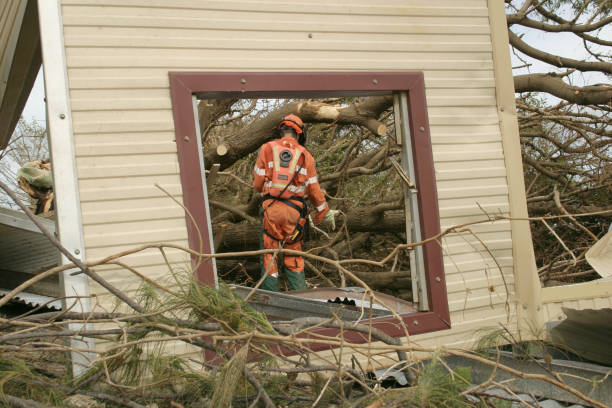 Best Fruit Tree Pruning  in Alba, NY