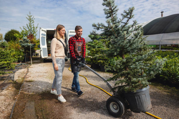 Best Lawn Mowing  in Alba, NY